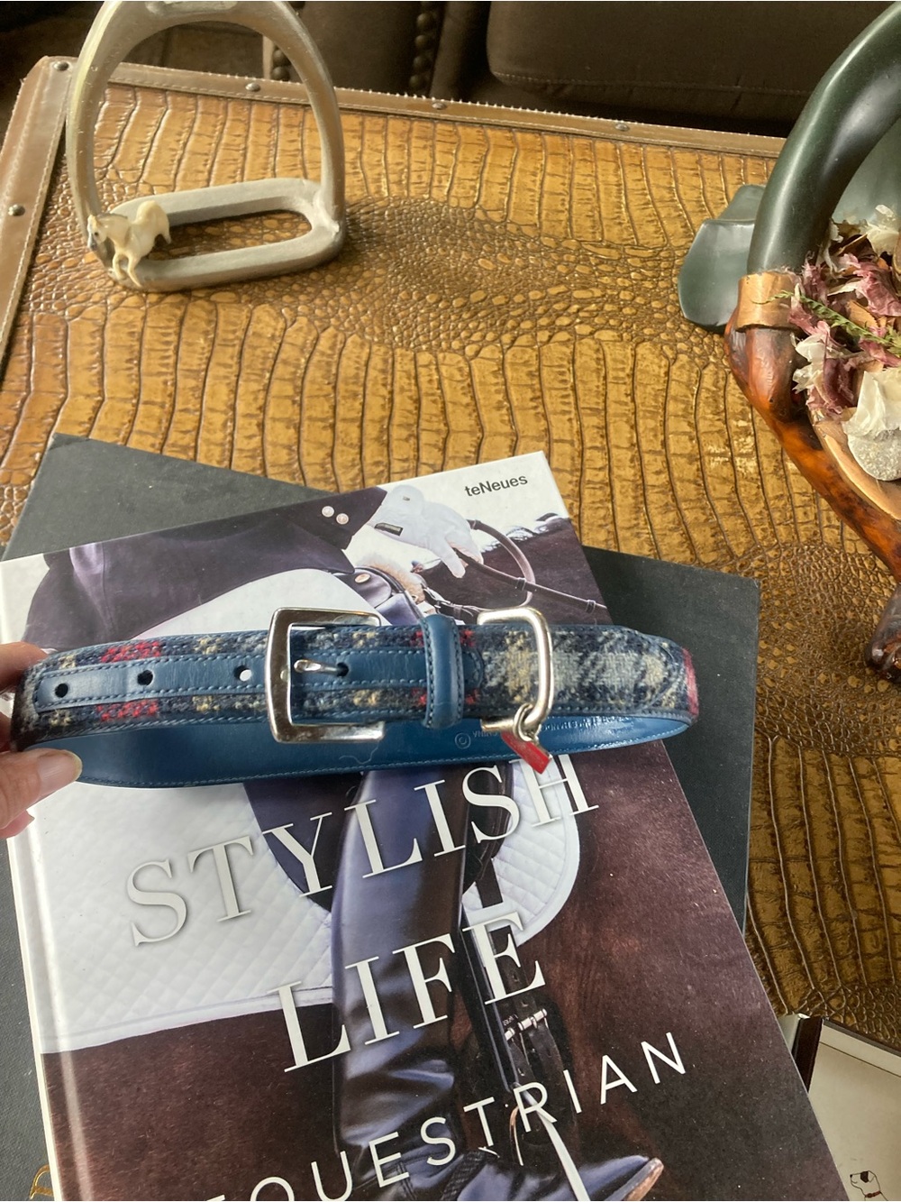 Coach Dog Collar